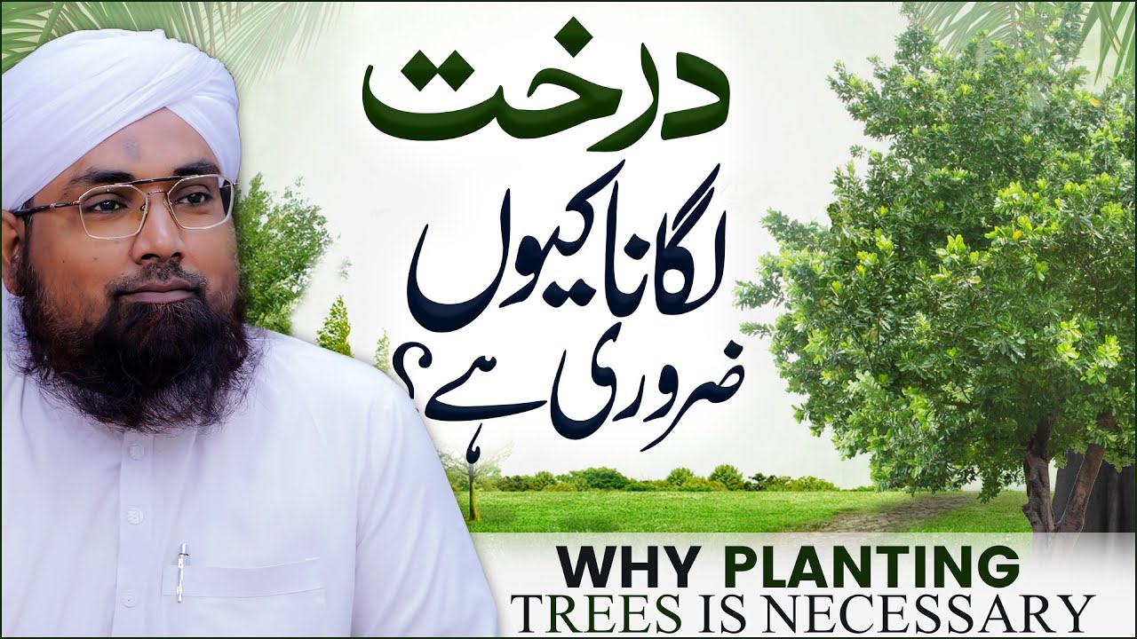 Darakht Lagana Kyun Zaroori Hai?